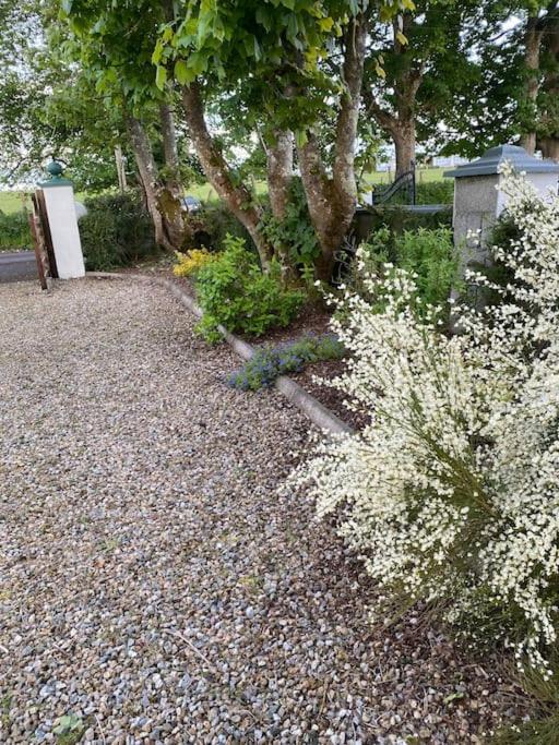 Breathnach Cottage Annex Knockleagha Ballina F26 D7E2 Esterno foto