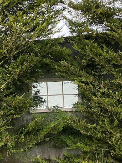 Breathnach Cottage Annex Knockleagha Ballina F26 D7E2 Esterno foto